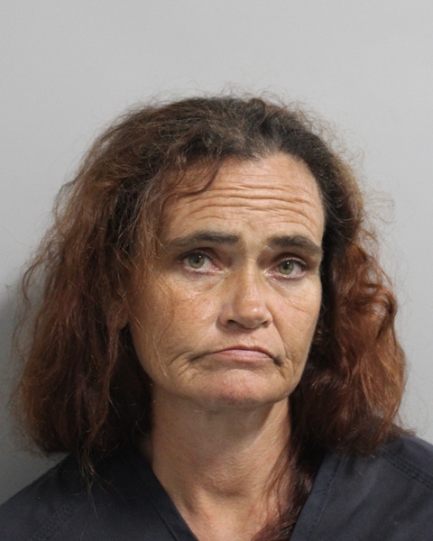 Booking photo of Leann Salmon