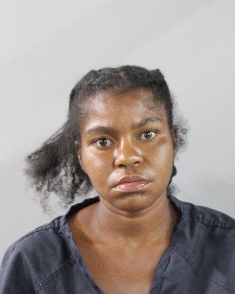 Booking photo of Antinette Lamb