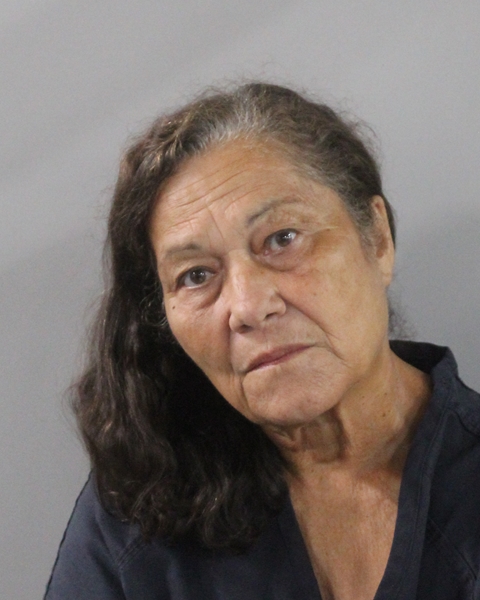 Booking photo of Awilda Ramos Cruz