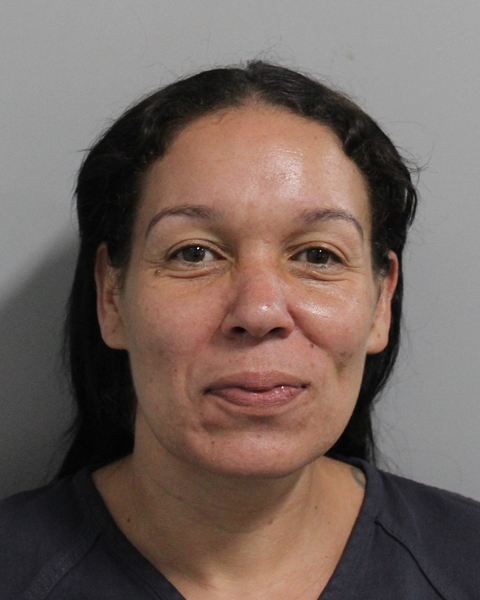 Booking photo of Estelle Sanchez Jusino