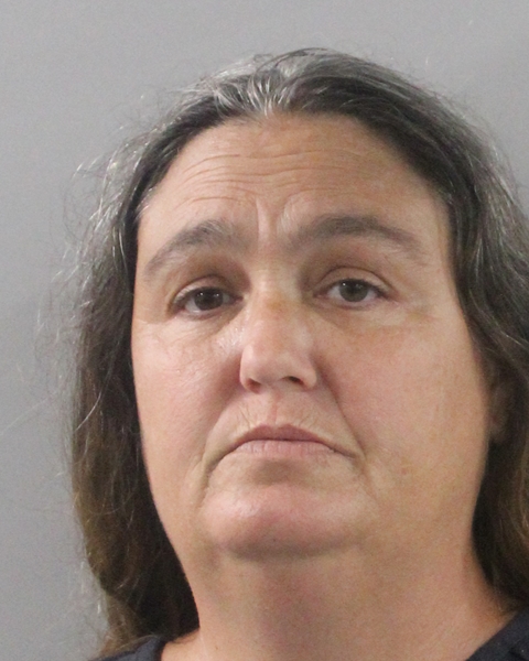 Booking photo of Misty Dennis