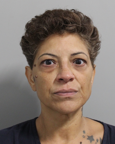 Iris Martinez booking photo