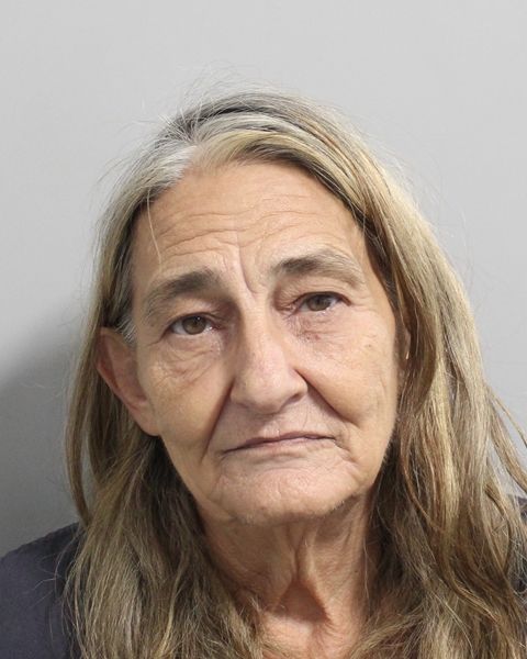 Booking photo of Brenda Wiest
