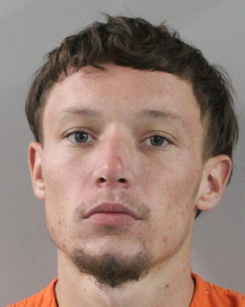 Booking photo of William Mcdougal