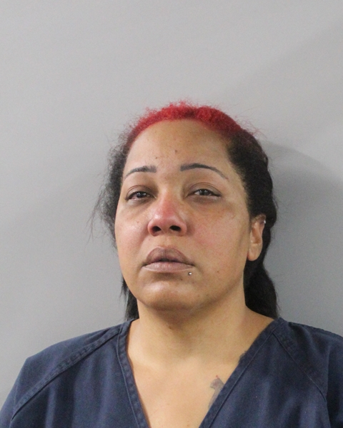 Booking photo of Michelle Martinez Figueroa