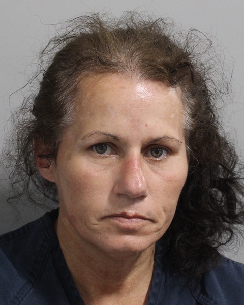 Booking photo of Brandy Taylor