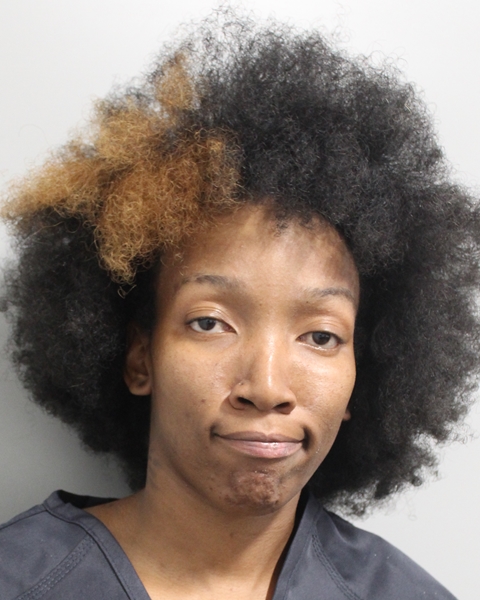 Booking photo of Jasmine Holmes