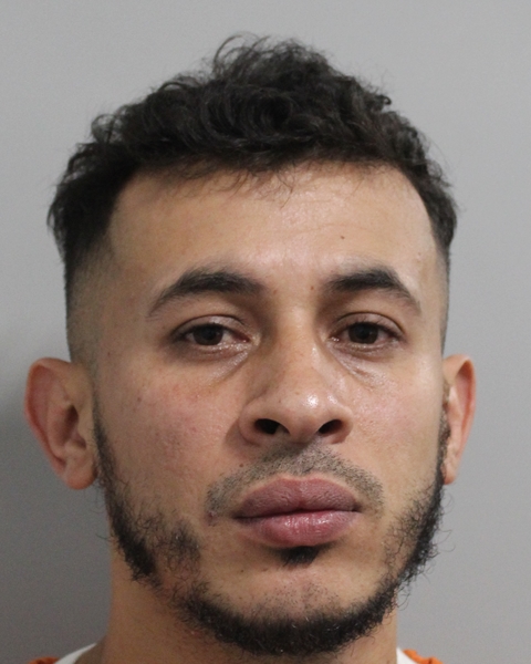 Booking photo of Luis Midence-martinez