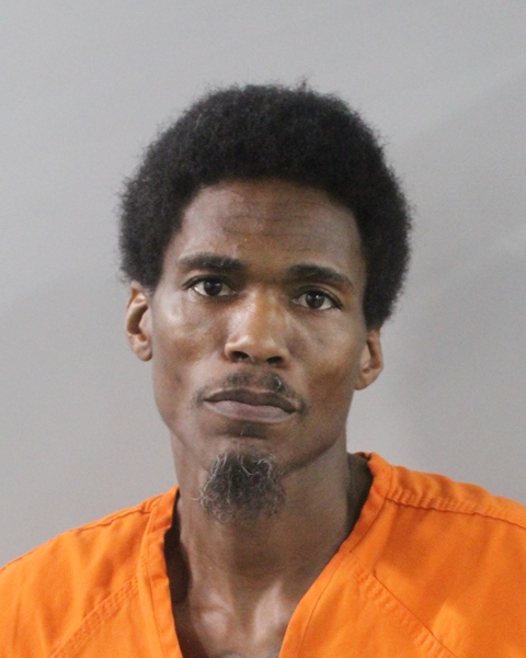 Booking photo of Robert Johnson