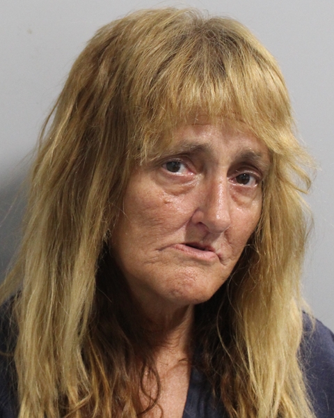 Booking photo of Sherry Lenti