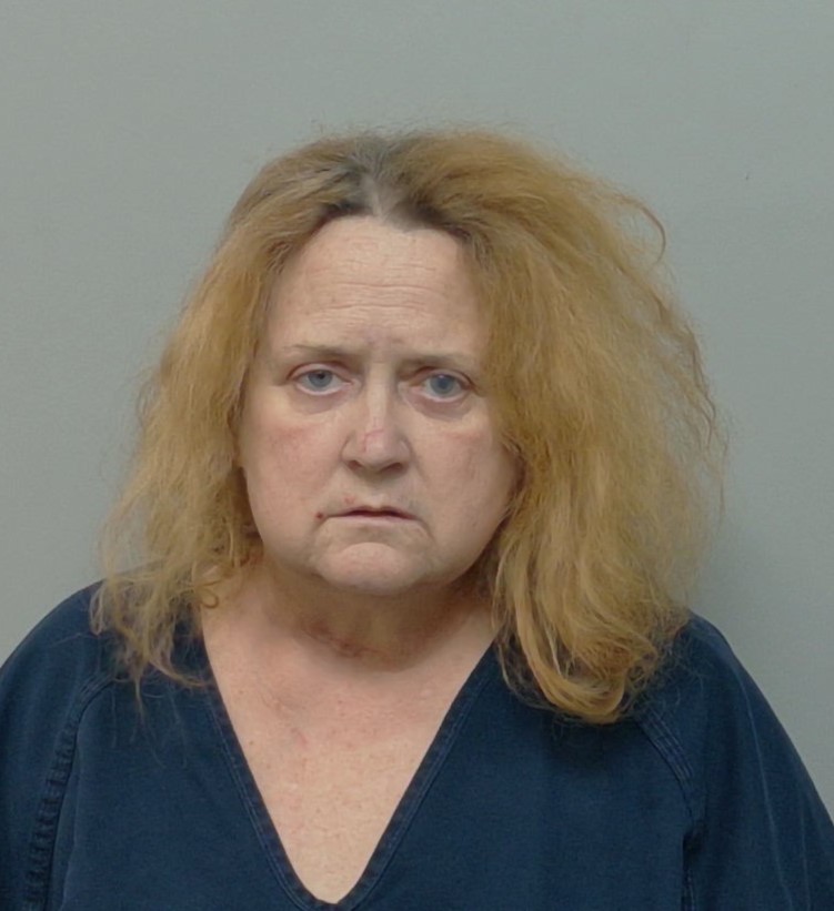 Michelle Dang booking photo