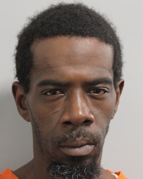 Booking photo of David Williams
