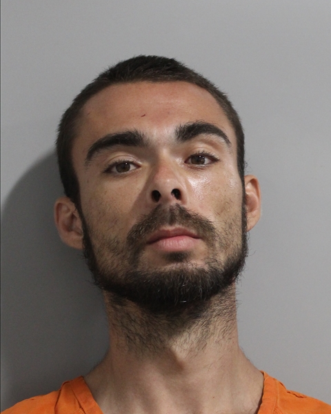 Booking photo of Gavin Mckenzie