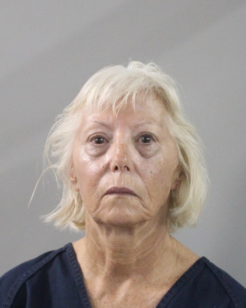 Booking photo of Michelle Dye