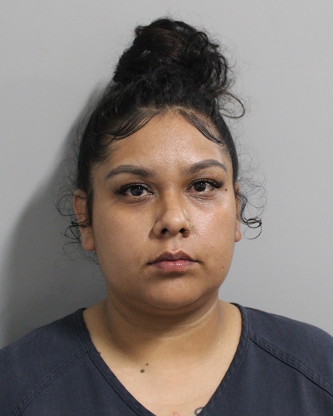 Booking photo of Michele Trejo