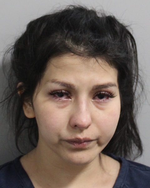 Booking photo of Leticia Vences