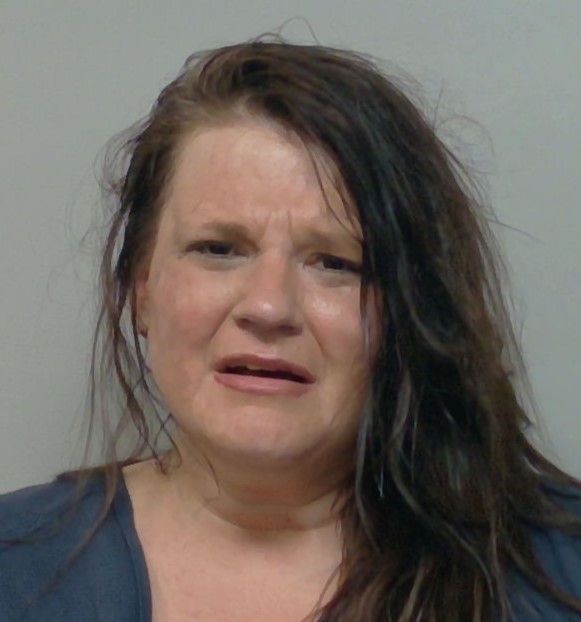 Booking photo of Kristin Lazeration