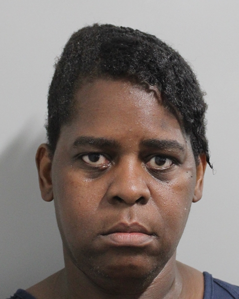 Albendea Hinkson booking photo