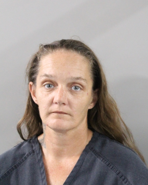 Booking photo of Carol Krass