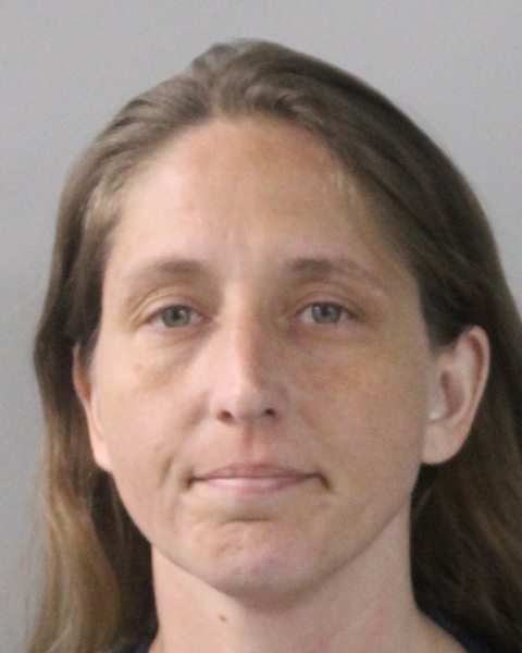 Sara Bollinger booking photo