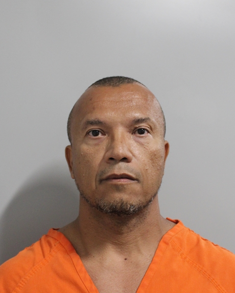 Conceicao Nascimento booking photo