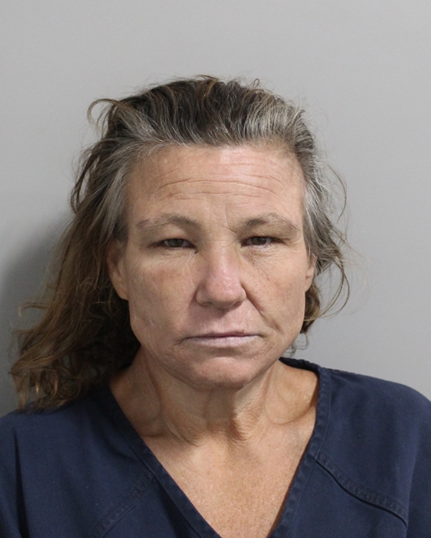 Booking photo of Rhonda Woodsby-alderman