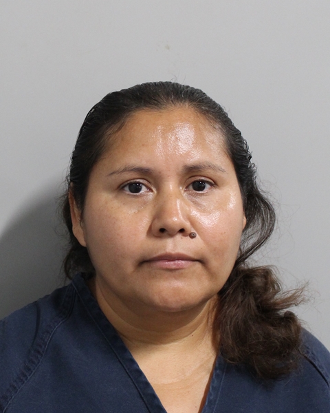Booking photo of Eugenia Carbajal Miranda