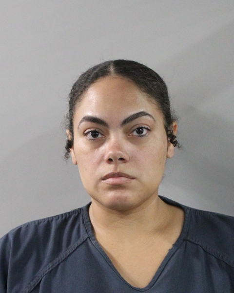 Booking photo of Lissette Garay