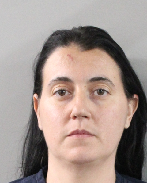 Booking photo of Ashley Chase