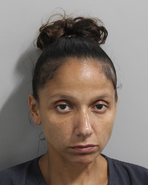 Booking photo of Nathalie Martin