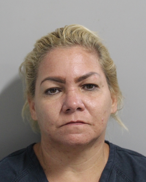 Booking photo of Yudith Rodriguez Barzaga
