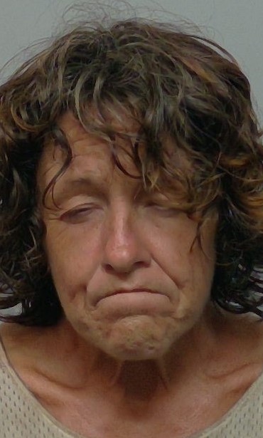 Booking photo of Michelle Dull