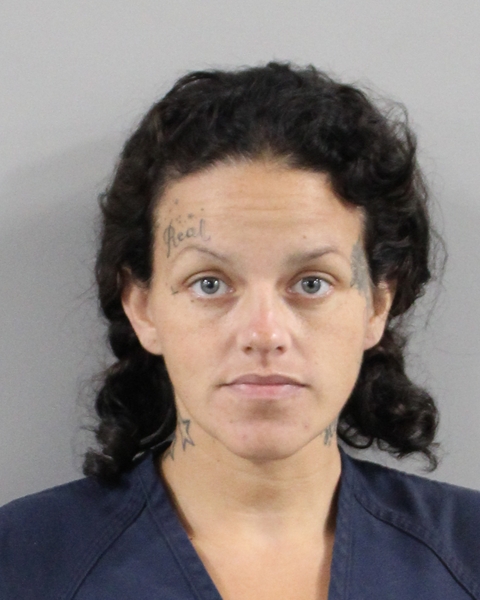 Booking photo of Julia Valentin