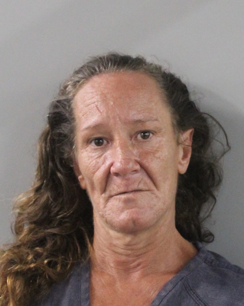 Crystal Collins booking photo