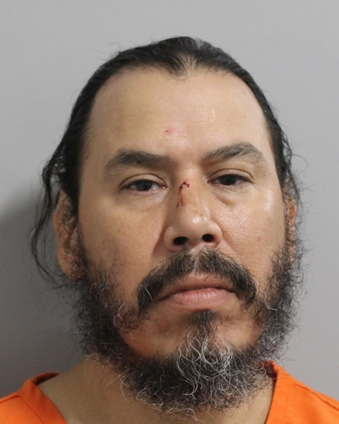 David Martin booking photo