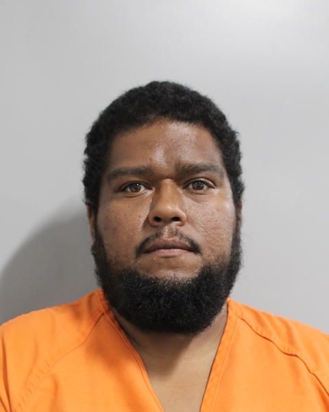 Booking photo of Brian Acosta