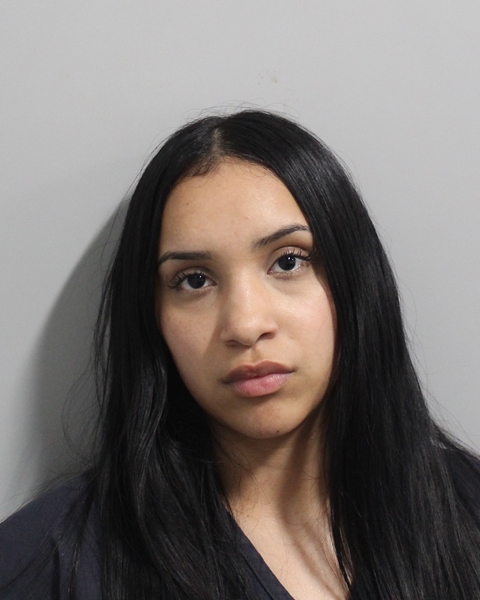 Booking photo of Yesenia Jaramillo