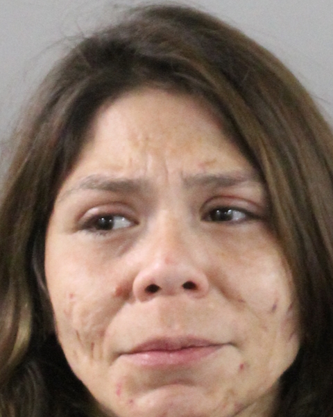 Booking photo of Camila Ibacache