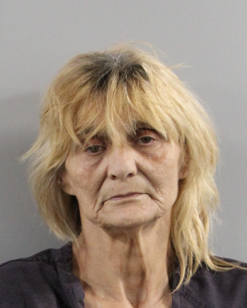 Booking photo of Debra Stock