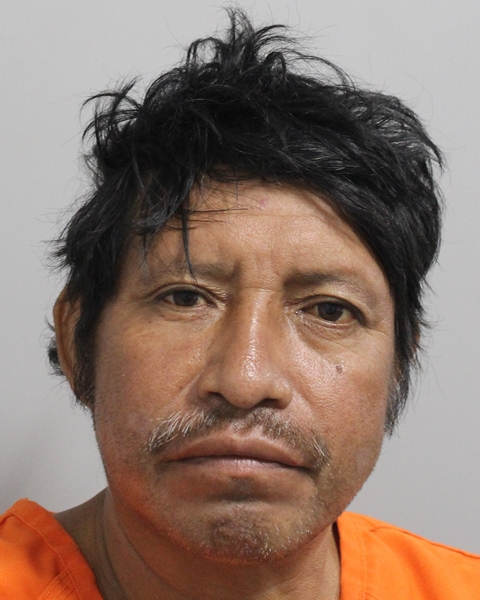 Booking photo of Maheli Santizo Lopez