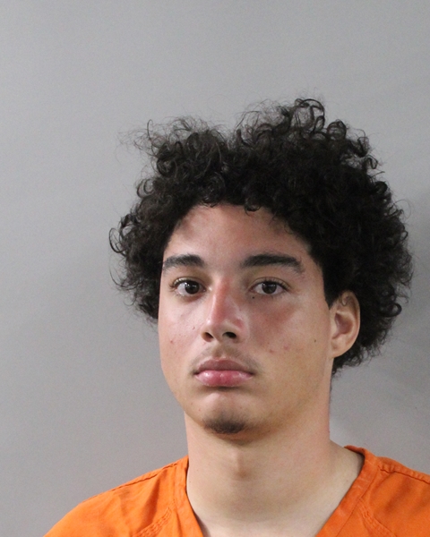 Booking photo of Julian Link