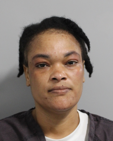 Booking photo of Dieuline Saint Juste