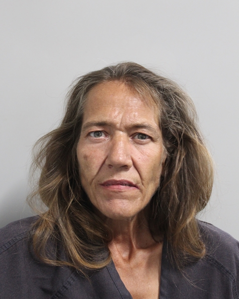 Booking photo of Christina Scoggin