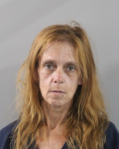 Booking photo of Stephanie Schloss
