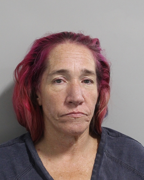Booking photo of Jamie Disney