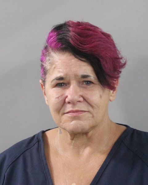 Booking photo of Tanya Baker