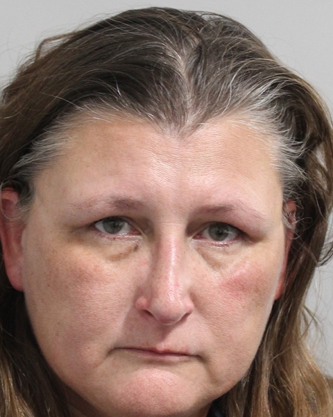 Booking photo of Lisa Welsh