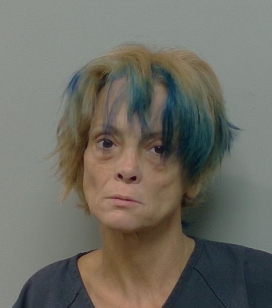 Sheila Harmon booking photo