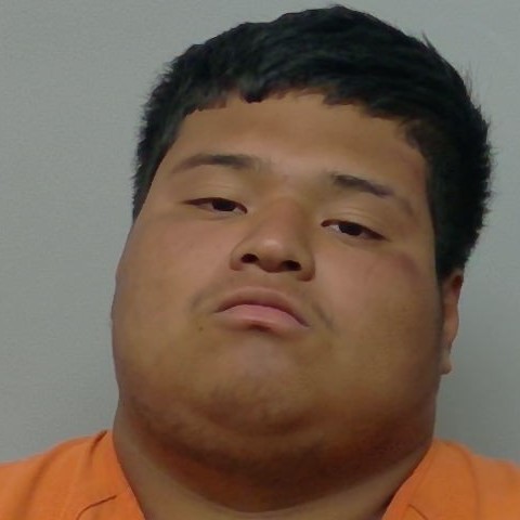 Booking photo of Luis Hernandez-cano