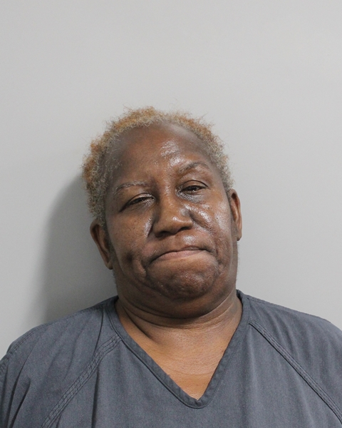 Booking photo of Lisa Mcqueen